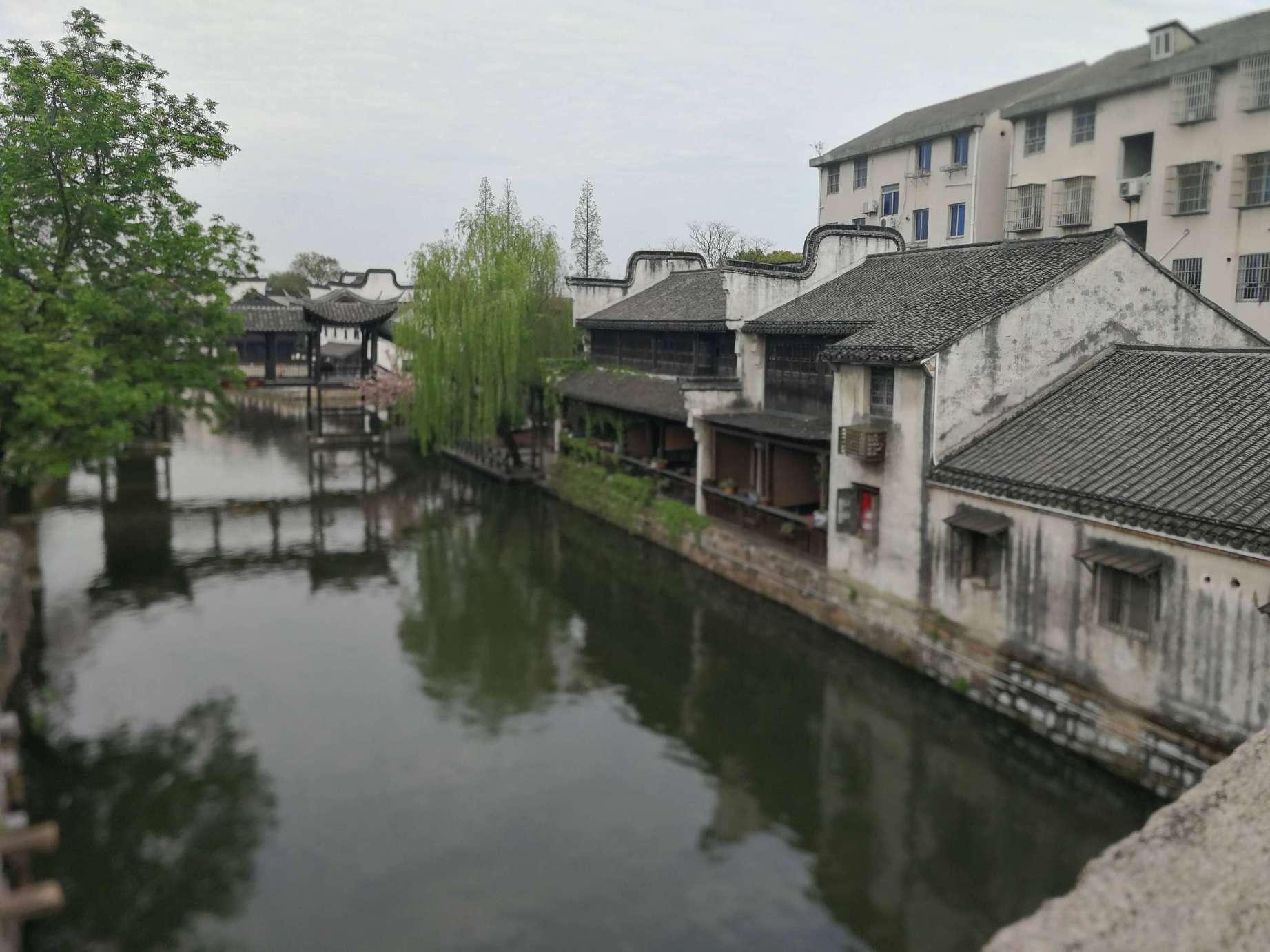 燃烧的蔬菜4新鲜战队